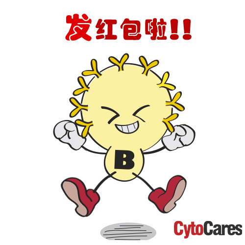 免疫细胞家族成员:b淋巴细胞